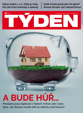 Týden