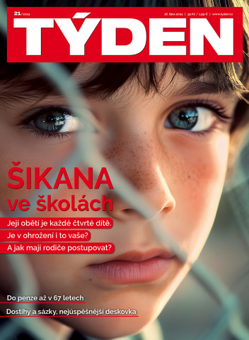 Týden