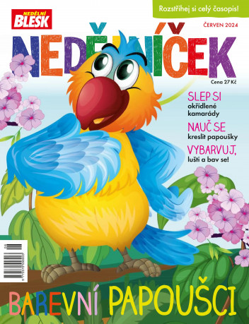 Nedělníček