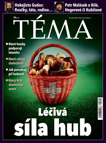 TÉMA