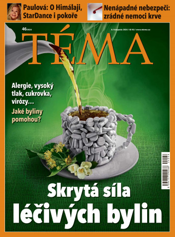 TÉMA