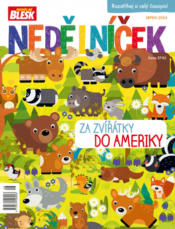 Nedělníček