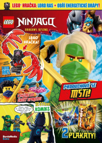 LEGO® NINJAGO®