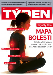 Týden