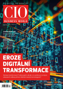 CIO Business World