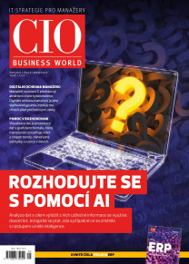 CIO Business World