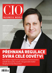 CIO Business World