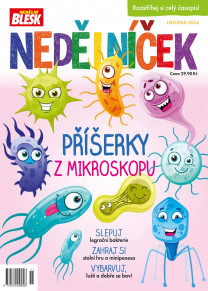 Nedělníček