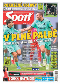 Sport